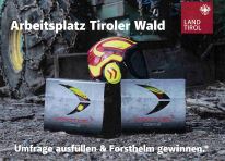 Arbeitsplatz Tiroler Wald